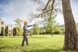 Central, SC Tree Services Company